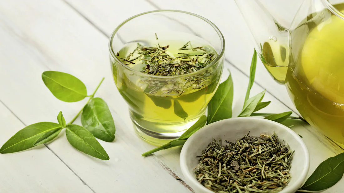 Green Tea Caffeine vs Coffee: Clean Energy for Focus and Performance