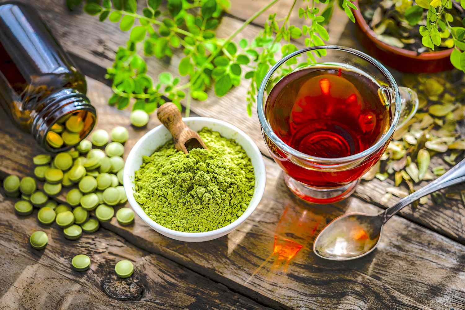 L-Theanine: Calm Focus, Stress Support, and Cognitive Performance