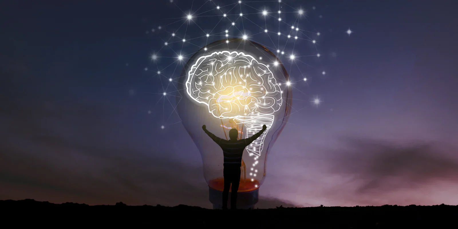 Best Supplements for Focus and Mental Clarity (Science-Based Guide)