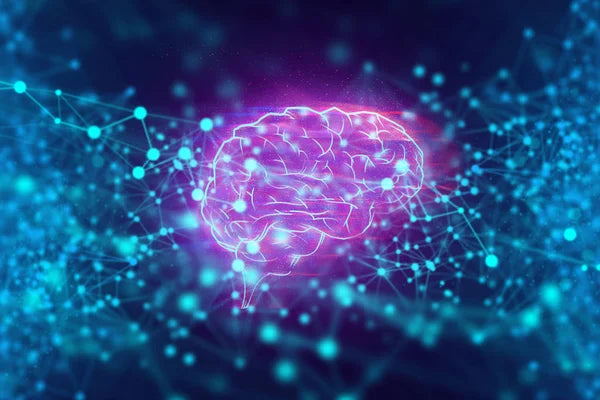 What Are Nootropics? A Beginner’s Guide to Cognitive Supplements