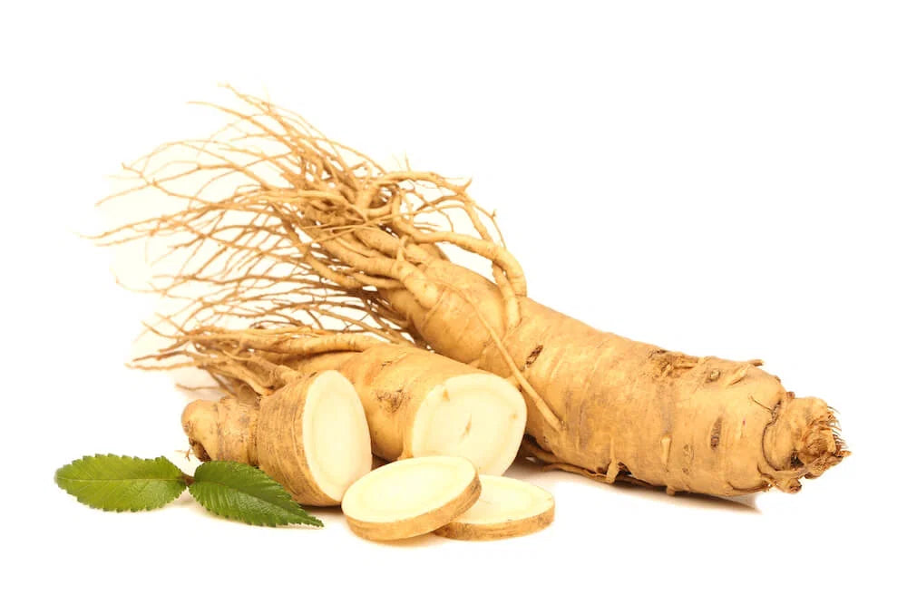 Panax Ginseng: A Traditional Herb for Cognitive Performance and Mental Energy